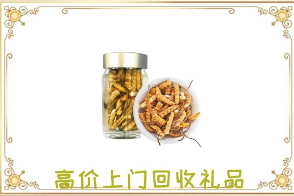 盘锦周边回收虫草